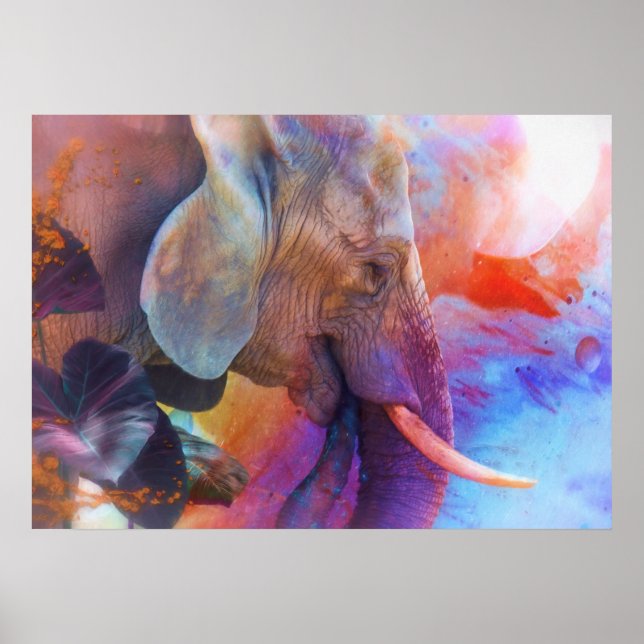 ELEFANT RELEMINERING AV HELIG VATTEN POSTER (Framsidan)