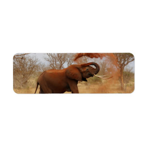 Elefant Returadress Etikett