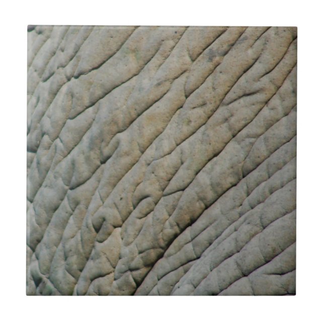 Elefant Skin Personlig med ditt namn Kakelplatta (Framsidan)