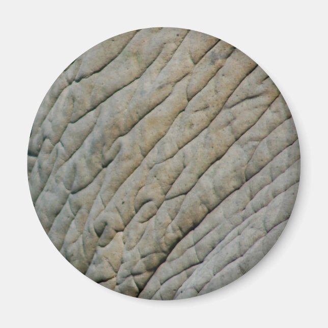 Elefant Skin Personlig med ditt namn Magnet (Framsidan)
