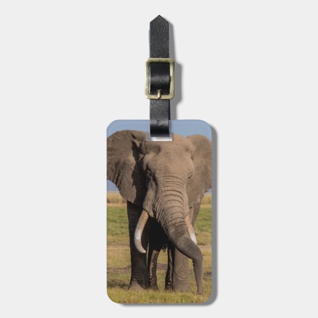 Elefant Söker Bagagebricka (Vertikal Framsida)