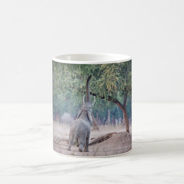 Elefant som når Acacia träd Kaffemugg (Center)