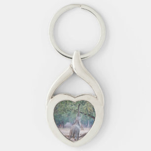 Elefant som når Acacia träd Twisted Heart Silverfärgad Nyckelring
