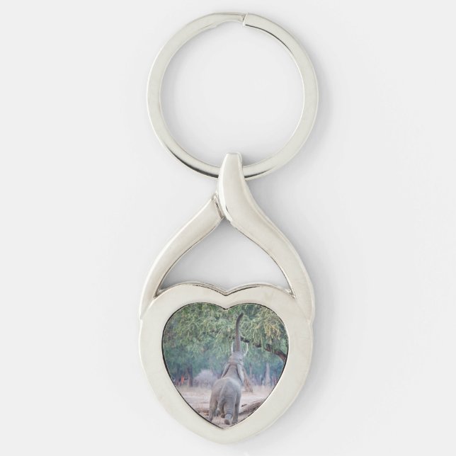 Elefant som når Acacia träd Twisted Heart Silverfärgad Nyckelring (Framsidan)