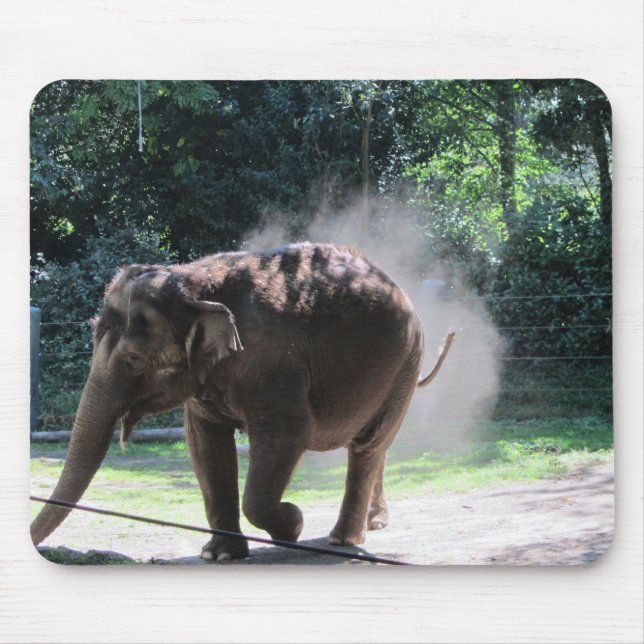 Elefant sparkar upp damm musmatta (Framsidan)