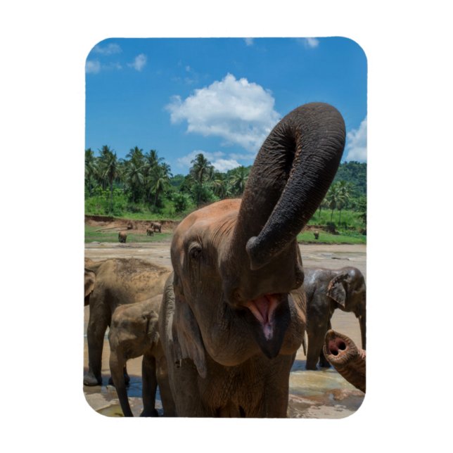 Elefant Sri Lanka Magnet (Vertikal)