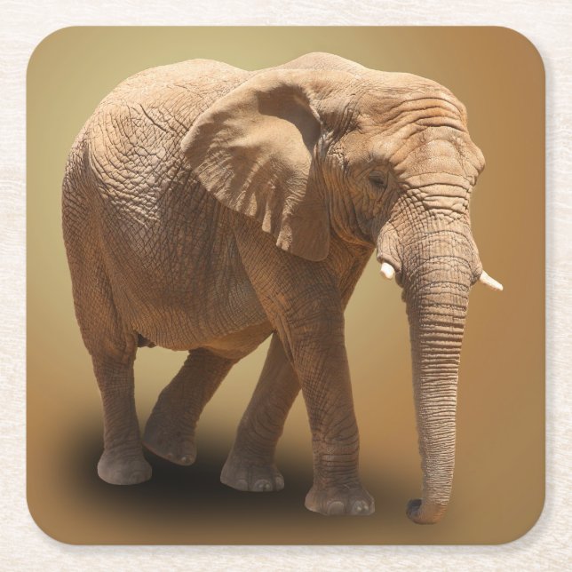 ELEFANT UNDERLÄGG PAPPER KVADRAT (Framsidan)