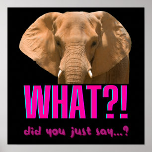 Elefant Vad sa du just? Poster