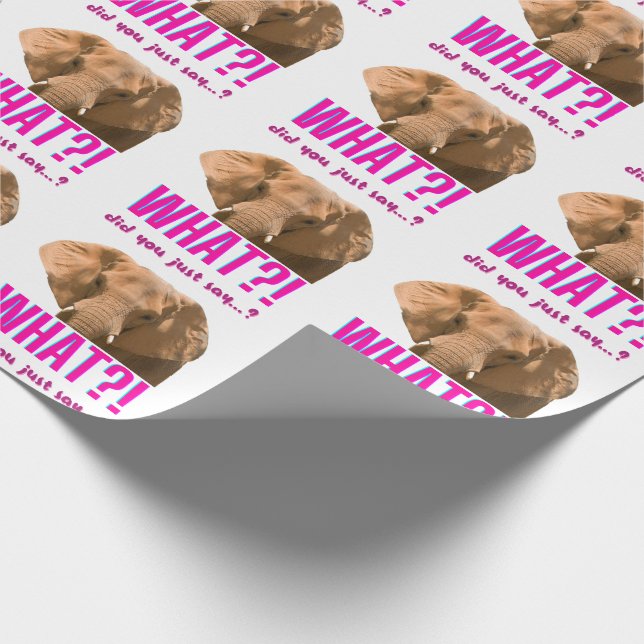 Elefant Vad sa du just? Presentpapper (Hörn)