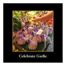 Elefant vitlök - Seattle Market