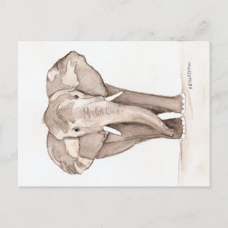 elefant vykort