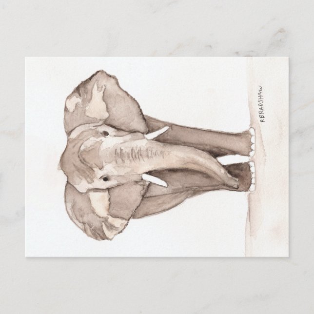 elefant vykort (Framsida)