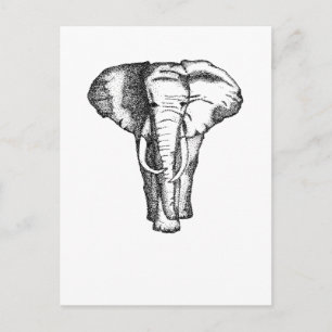 elefant vykort