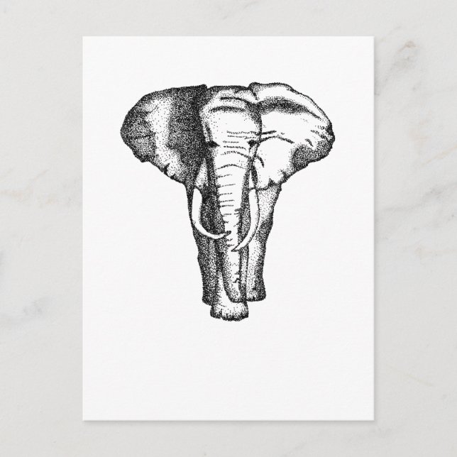 elefant vykort (Framsida)