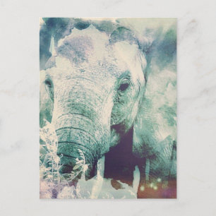 Elefant Vykort