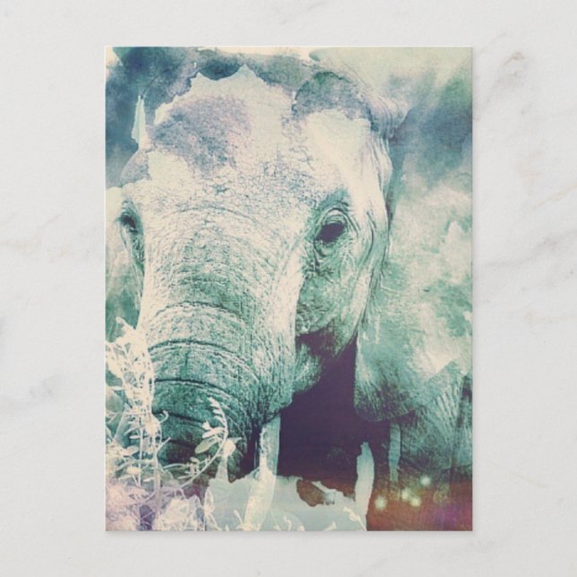 Elefant Vykort (Framsida)