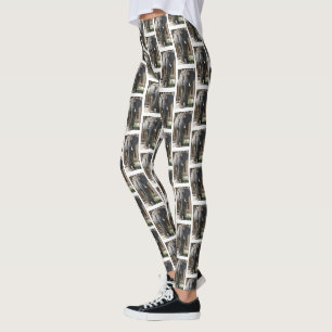 ELEFANTA legeringar Leggings