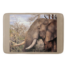 Elefantälskares konst