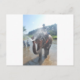 Elefantbesprutning vatten vykort