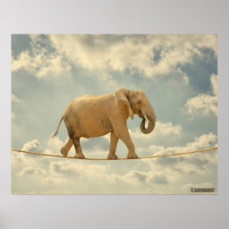 Elefante Poster