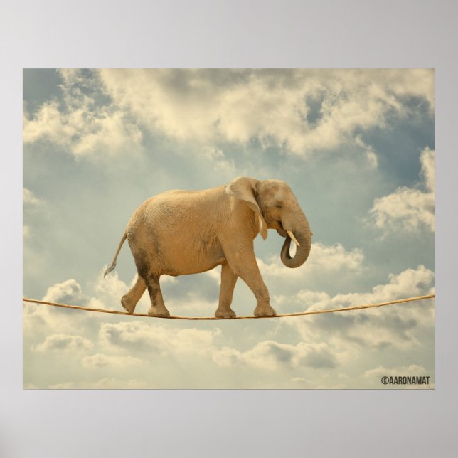 Elefante Poster (Framsidan)