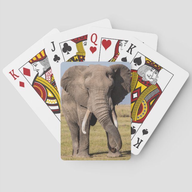 Elefanten i ett aggressivt poserar casinokort (Baksidan)