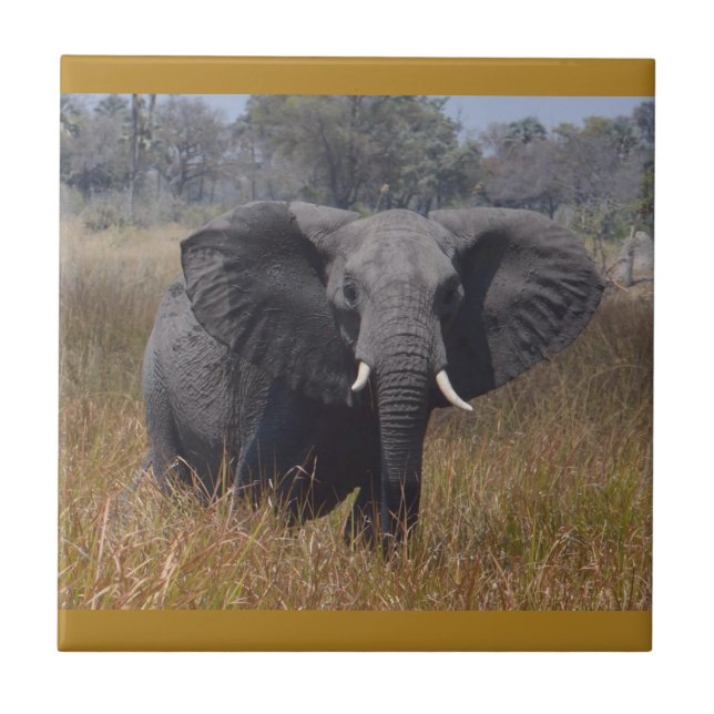 Elefanten Medveten, Kenya. Keramiskt plattor Kakelplatta (Framsidan)