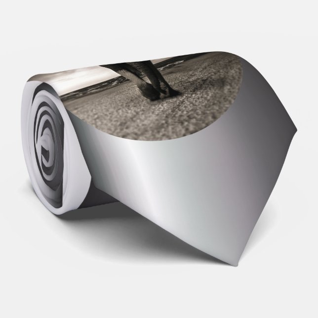 Elefanten på Springa Slips (Rullad)