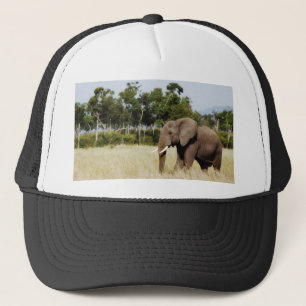 Elefanten som går Masai Mara, plattar till den Truckerkeps