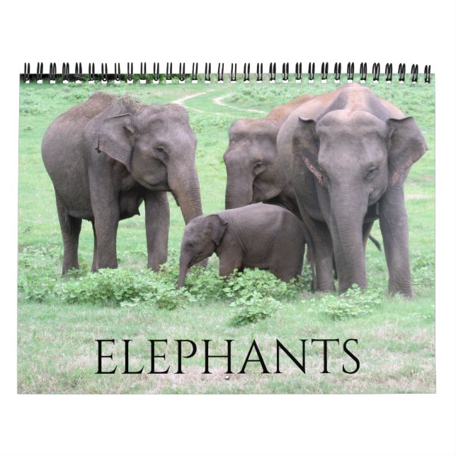 elefanter 2026 kalender (Omslag)