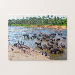 Elefanter från Sri Lanka. Pussel