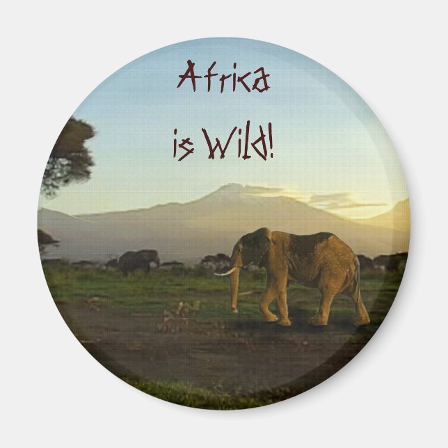 Elefanter i AFRIKA Series Magnet (Framsidan)