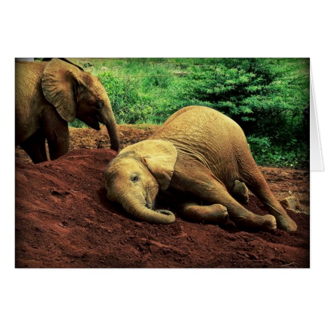Elefanter i Kenya Hälsningskort (Framsidan Horizontal)