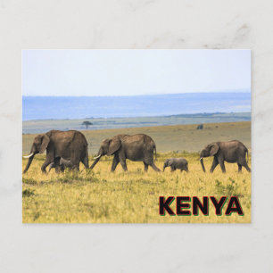 Elefanter i Kenya Vykort