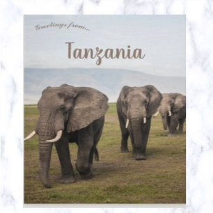 Elefanter i Ngorongoro Tanzania Vykort
