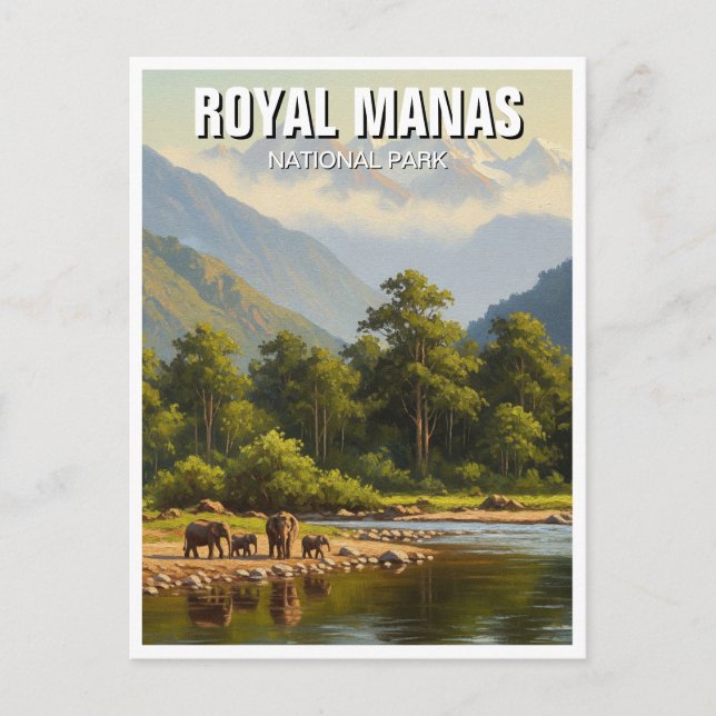 Elefanter i Royalet Manas nationalpark Vykort (Framsida)