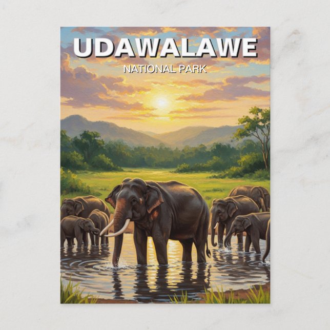 Elefanter i Sri Lanka Udawalawe nationalpark Vykort (Framsida)