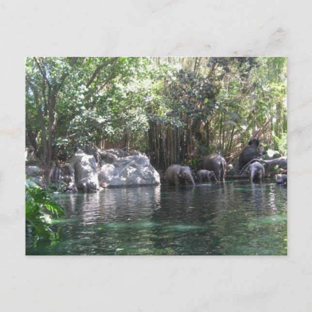 Elefanter i vykort för spel (Framsida)