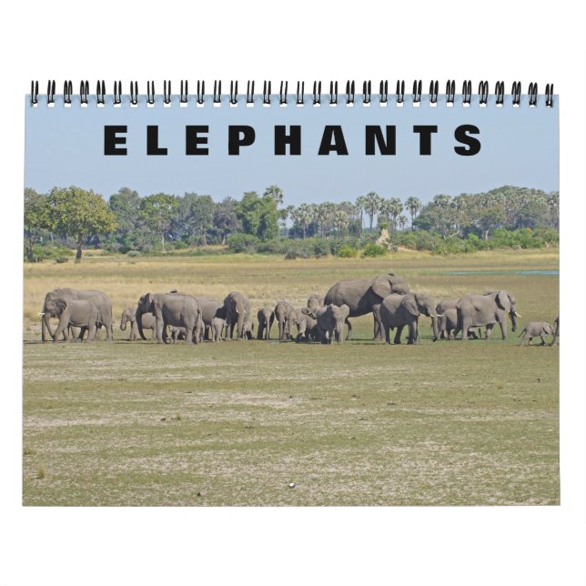 ELEFANTER KALENDER (Omslag)