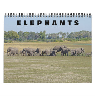 ELEFANTER KALENDER