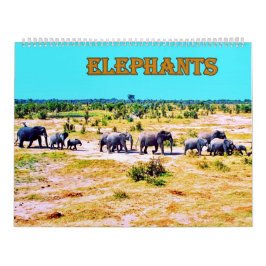 elefanter kalender
