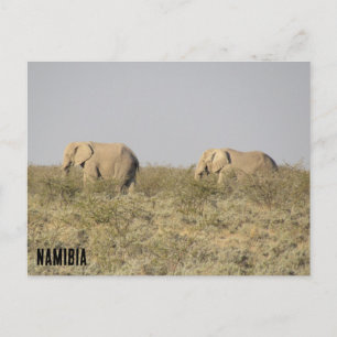 elefanter namibia vykort