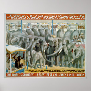 Elefanter och Dubbla Menagerie Circus Poster