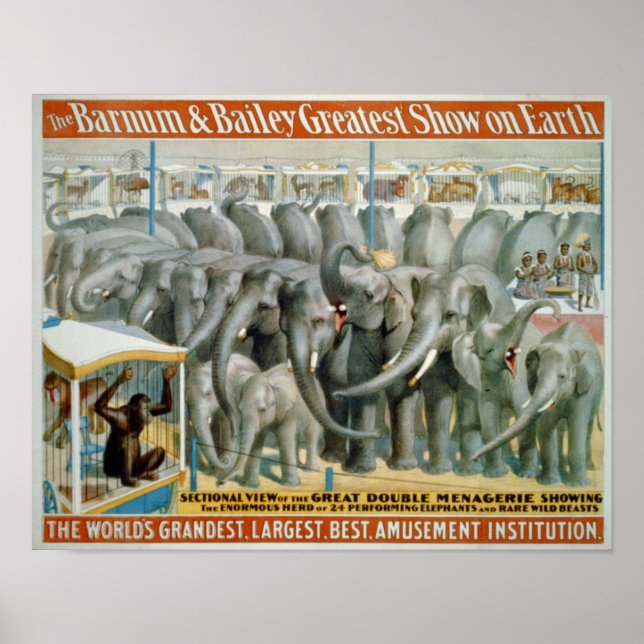 Elefanter och Dubbla Menagerie Circus Poster (Framsidan)