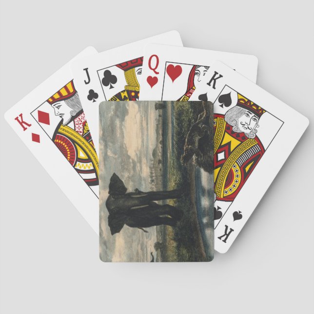 Elefanter och en panter i Indiska öknen Casinokort (Baksidan)