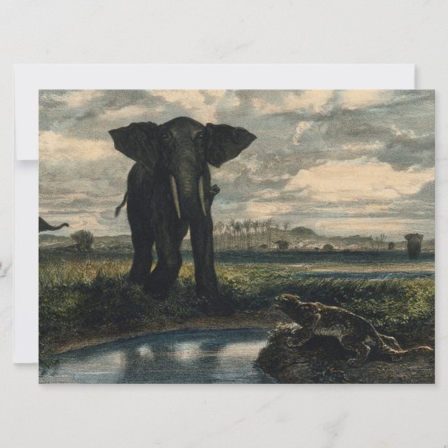 Elefanter och en panter i Indiska öknen Kort (Framsida)