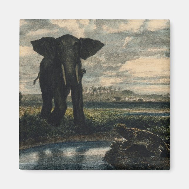 Elefanter och en panter i Indiska öknen Magnet (Framsidan)