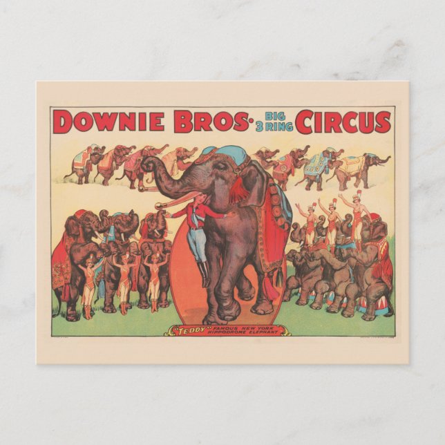 Elefanter som uppträder med kvinnor och tränare. vykort (Framsida)
