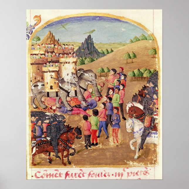 Elefanterna i Krig Poster (Framsidan)