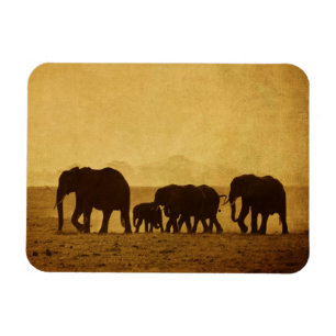 Elefantfamilj Magnet